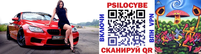 купить наркотики сайты  Устюжна  Псилоцибиновые грибы мицелий 